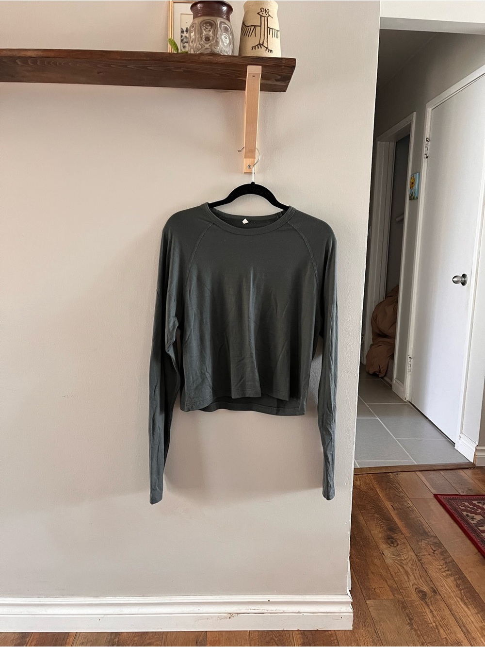 Ecologyst 100% merino wool base Long-Sleeve Cropped Crewneck Top - sage